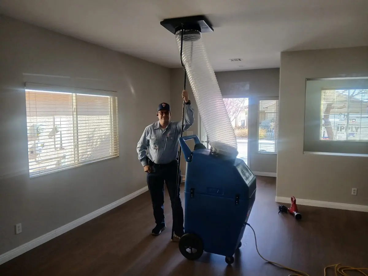 Professional Dryer Vent Cleaning work inside a Lysander home